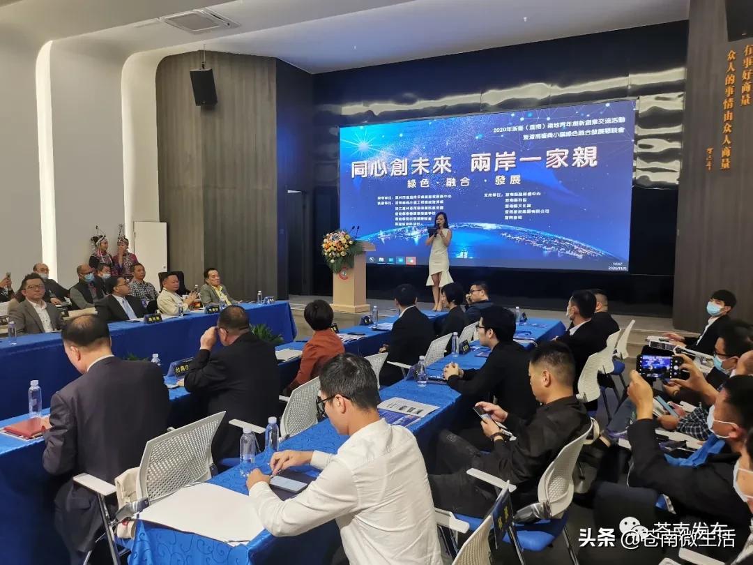 苍南疫情最新动态与大自然呼唤的绿色心灵之旅