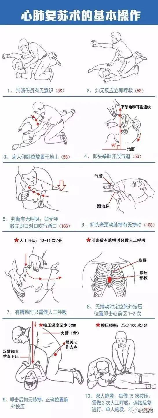 心肺复苏最新版，变革之力与生命节奏的和谐共振