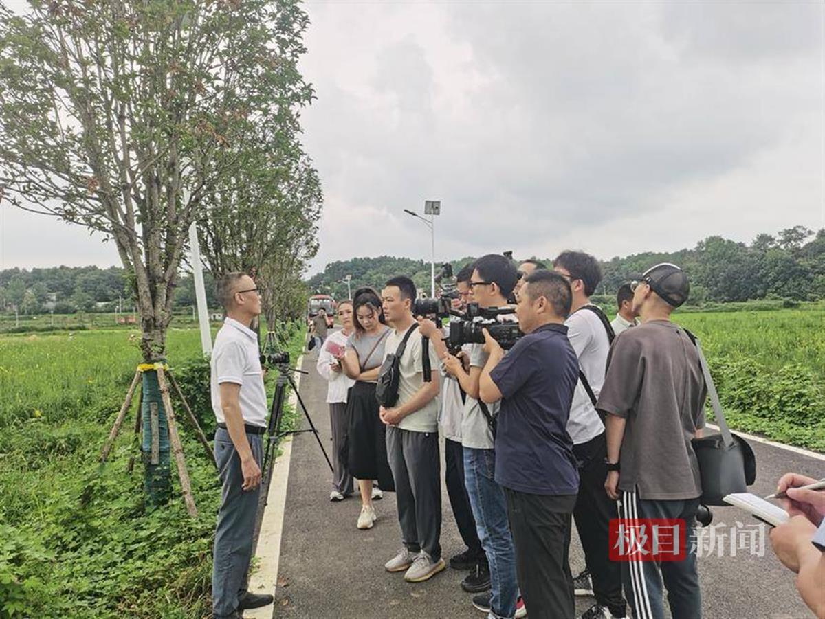 邱县新闻最新动态，自然之旅唤醒内心宁静与平和