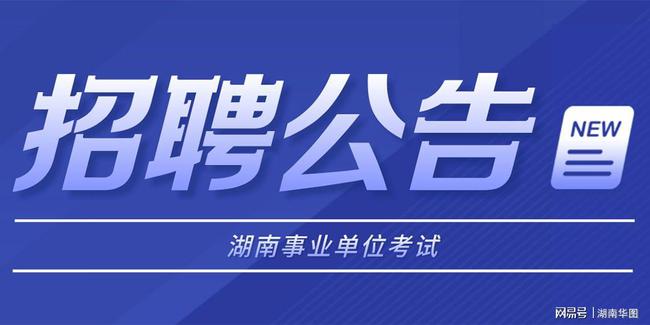 邵东最新招聘信息概览，观点论述与求职指南