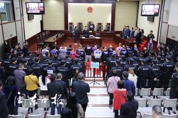 霞浦最新案件深度分析与观点阐述