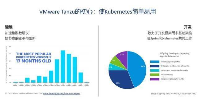 VMware最新版本的双刃剑效应，创新与发展的探讨