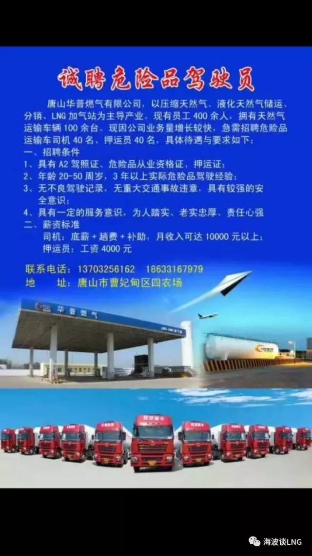 乌海最新招聘信息揭秘，小巷深处的职业机遇
