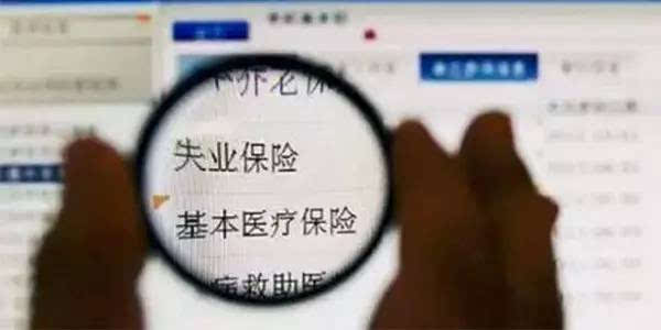 失业保险最新政策，自然美景中的治愈之旅探索