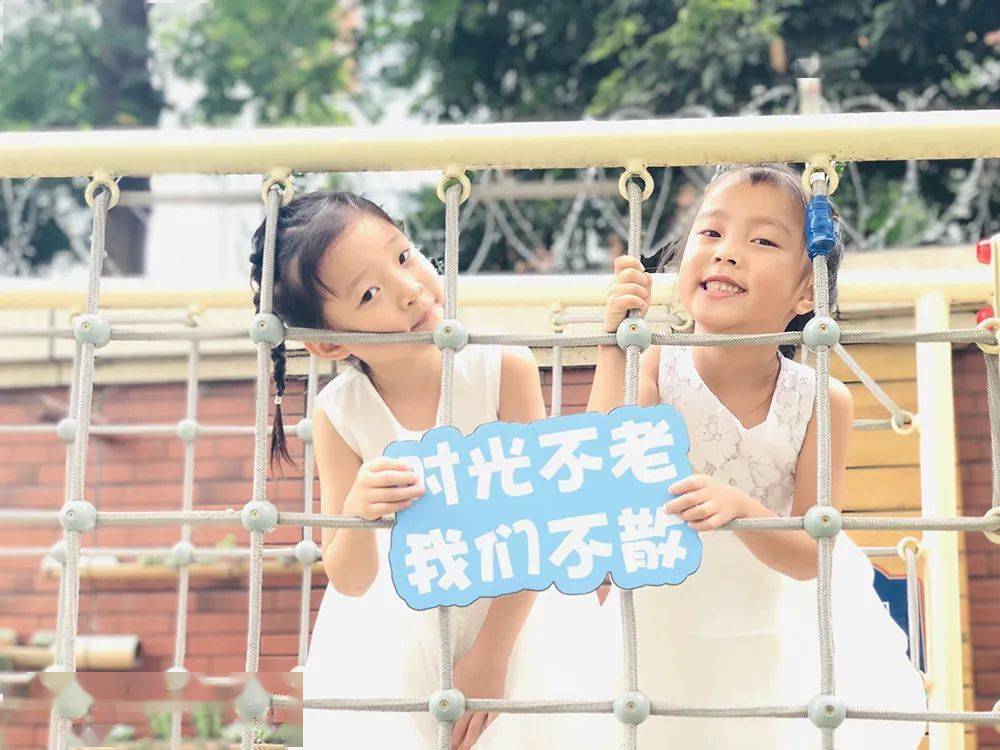 萌白酱最新日常，友情、陪伴与温馨的温馨小趣事