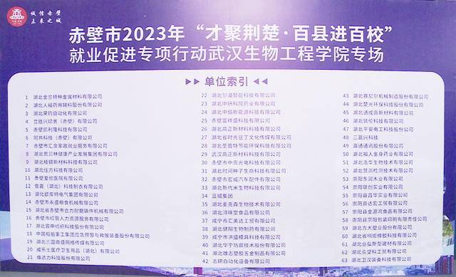 赤壁最新招聘，多元视角解读与分析