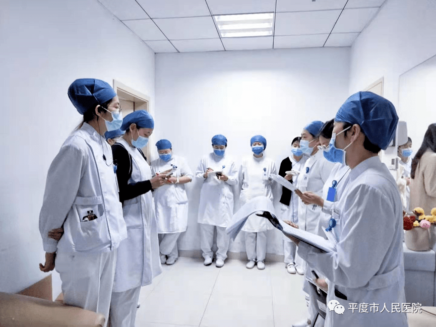 白客最新动态，一场充满爱与陪伴的温馨日常