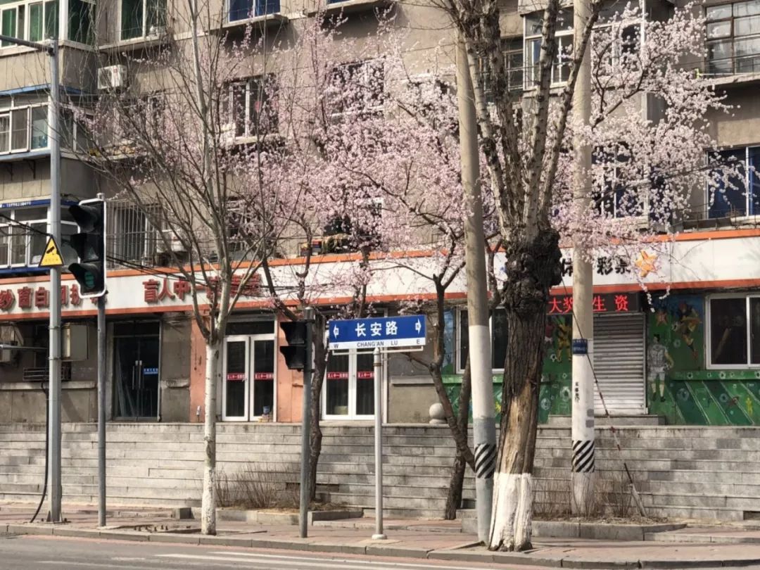 揭秘宝藏小店，深藏小巷中的秘密——最新消息关于000716