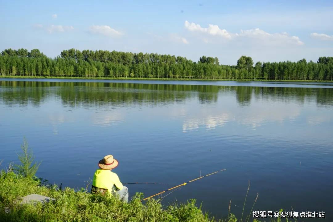 最新钓鱼网站，自然美景的轻松探索之旅
