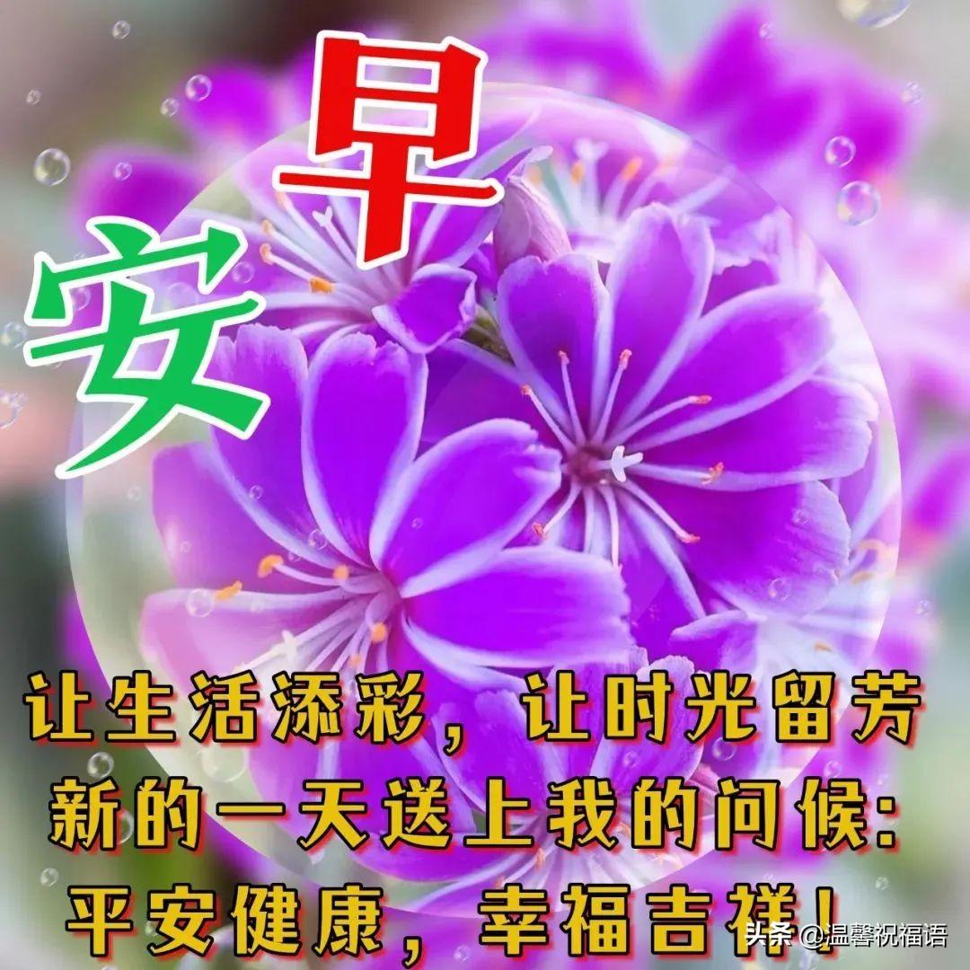 最新电影，爱情·青春·电影缘中的温馨日常