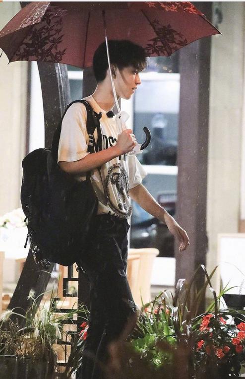 鸭哥哥最新网站深度解析，影响与观点探讨