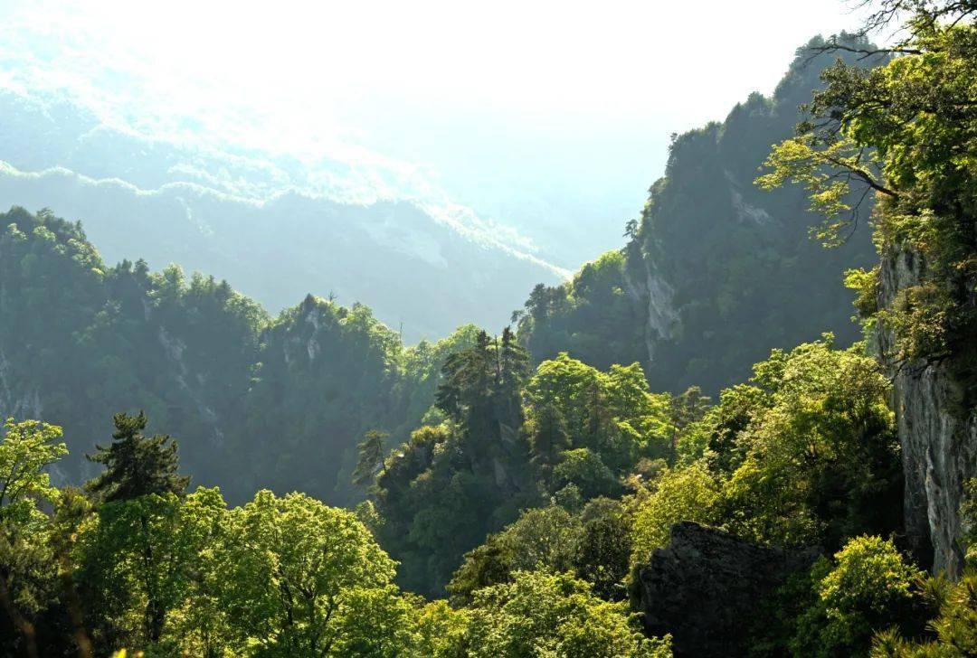 十堰新闻最新动态，自然美景之旅寻求内心平和与宁静的探索